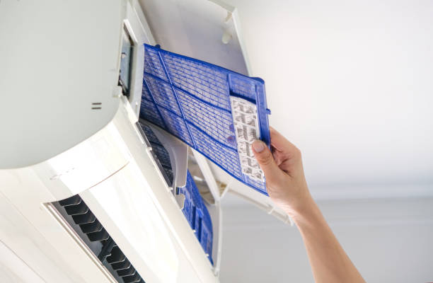 Best Ductwork Cleaning Services  in Bernie, MO
